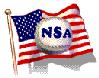 NSA Softball